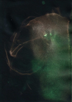 http://www.actionaqua.com/files/gimgs/th-121_Scan 3invert_v5.jpg